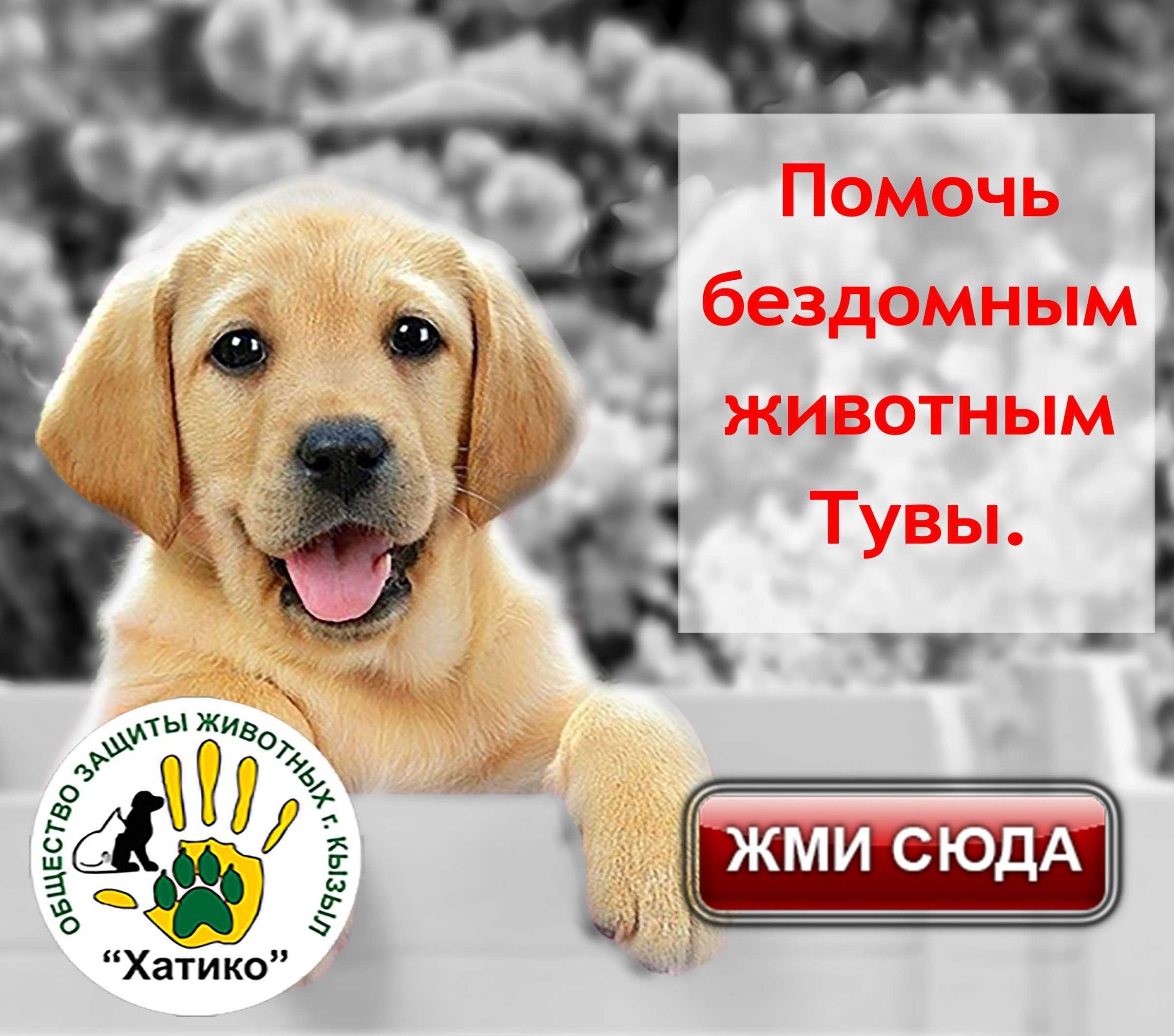 Рекламный баннер